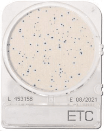 dia-compact-dry-etc-enterococcus