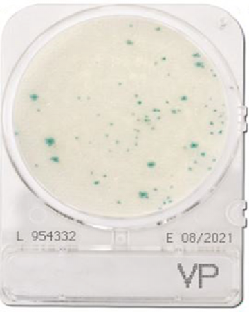 dia-compact-dry-vp-vibrio-parahaemolyticus