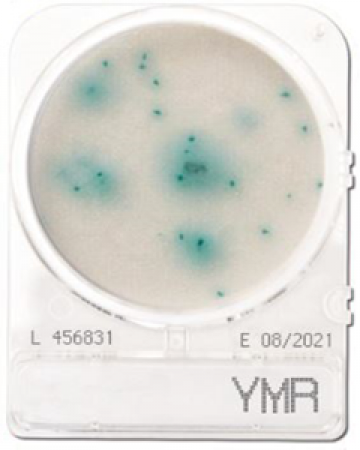 dia-compact-dry-ymr-yeast-and-mold-rapid